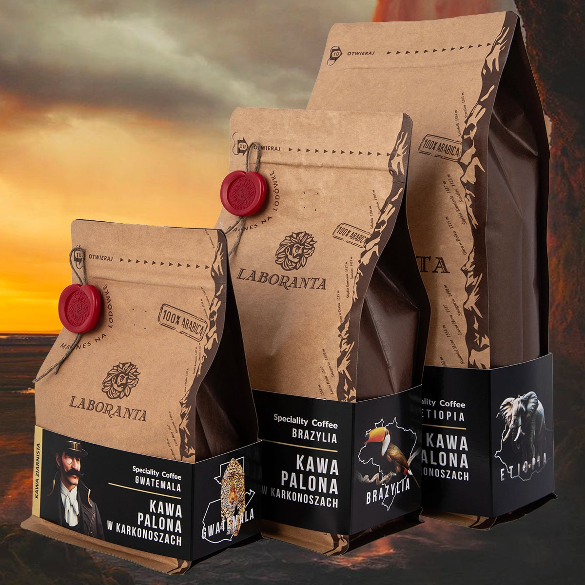 Trzy różne wielkości torebek świeżo palonej kawy rzemieślniczej Etiopia Yirgacheffe speciality na naturalnym tle.